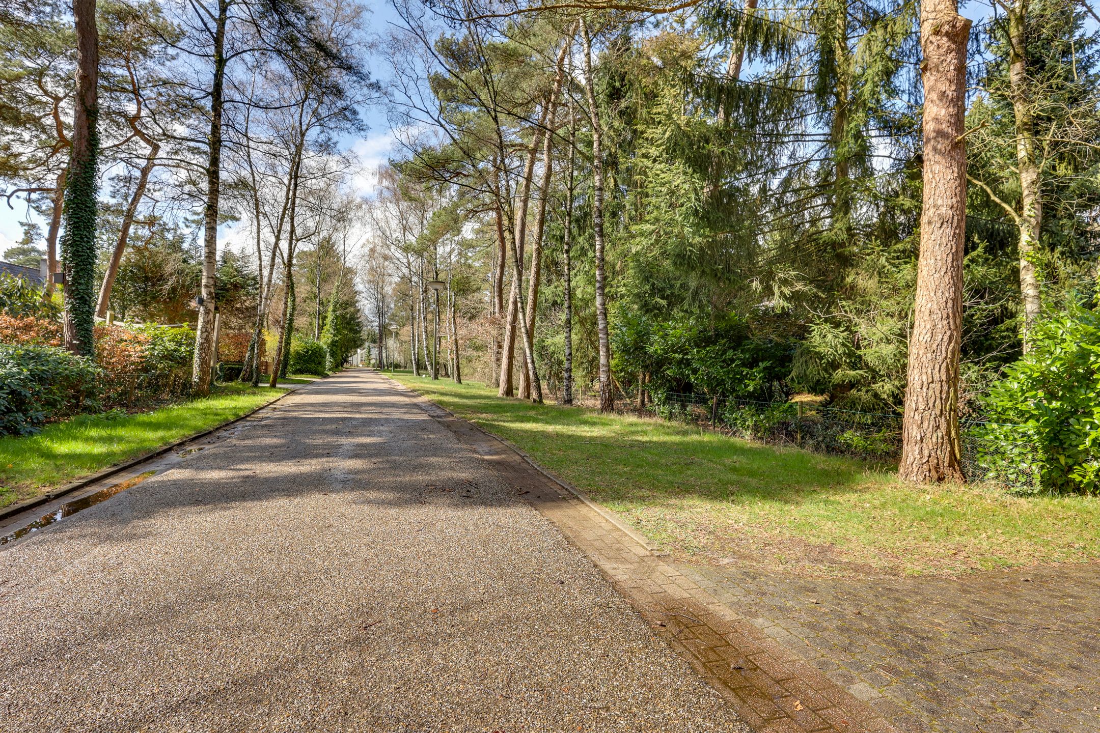 Foto 51 van Korhoenderweg 19