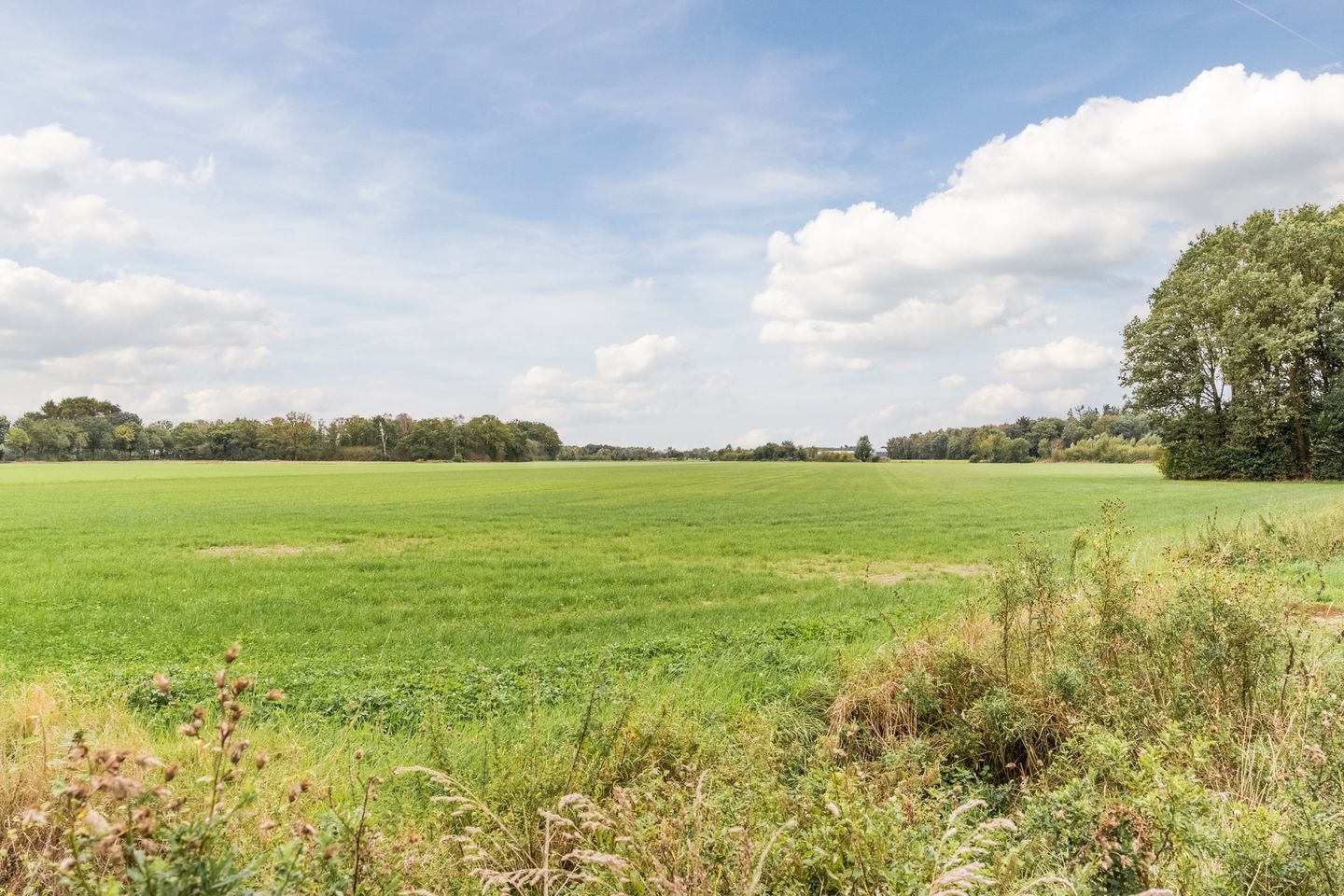 Photo 55 of Het Nieveld 35