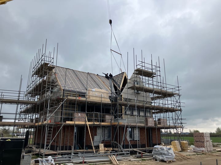 Photo 2 of Holstein-Friesian 26