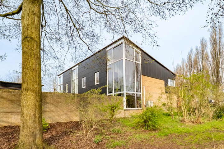 Walter Kollolaan 177