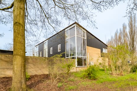 Walter Kollolaan thumbnail