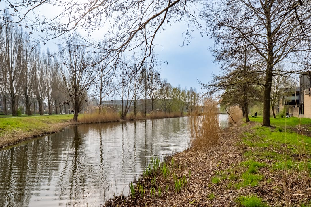 Foto 46 van Walter Kollolaan 177