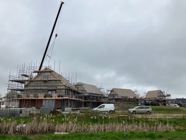 Photo 3 of Holstein-Friesian 26