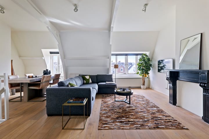 Foto 3 van Vossiusstraat 13-E