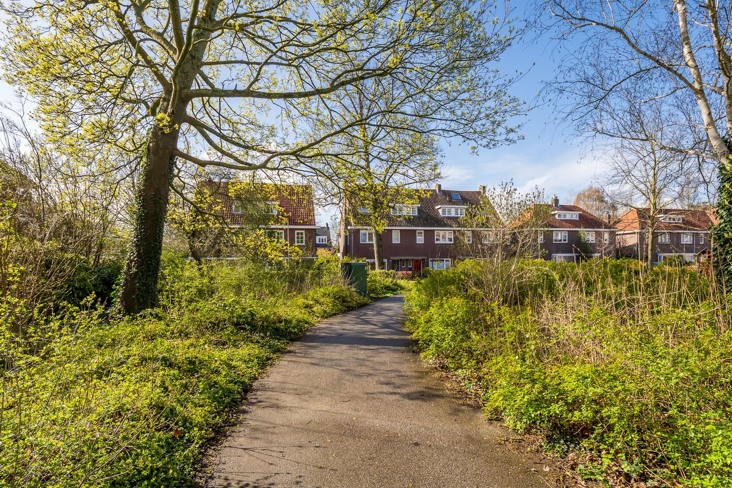 Photo 44 of Koningin Emmastraat 13