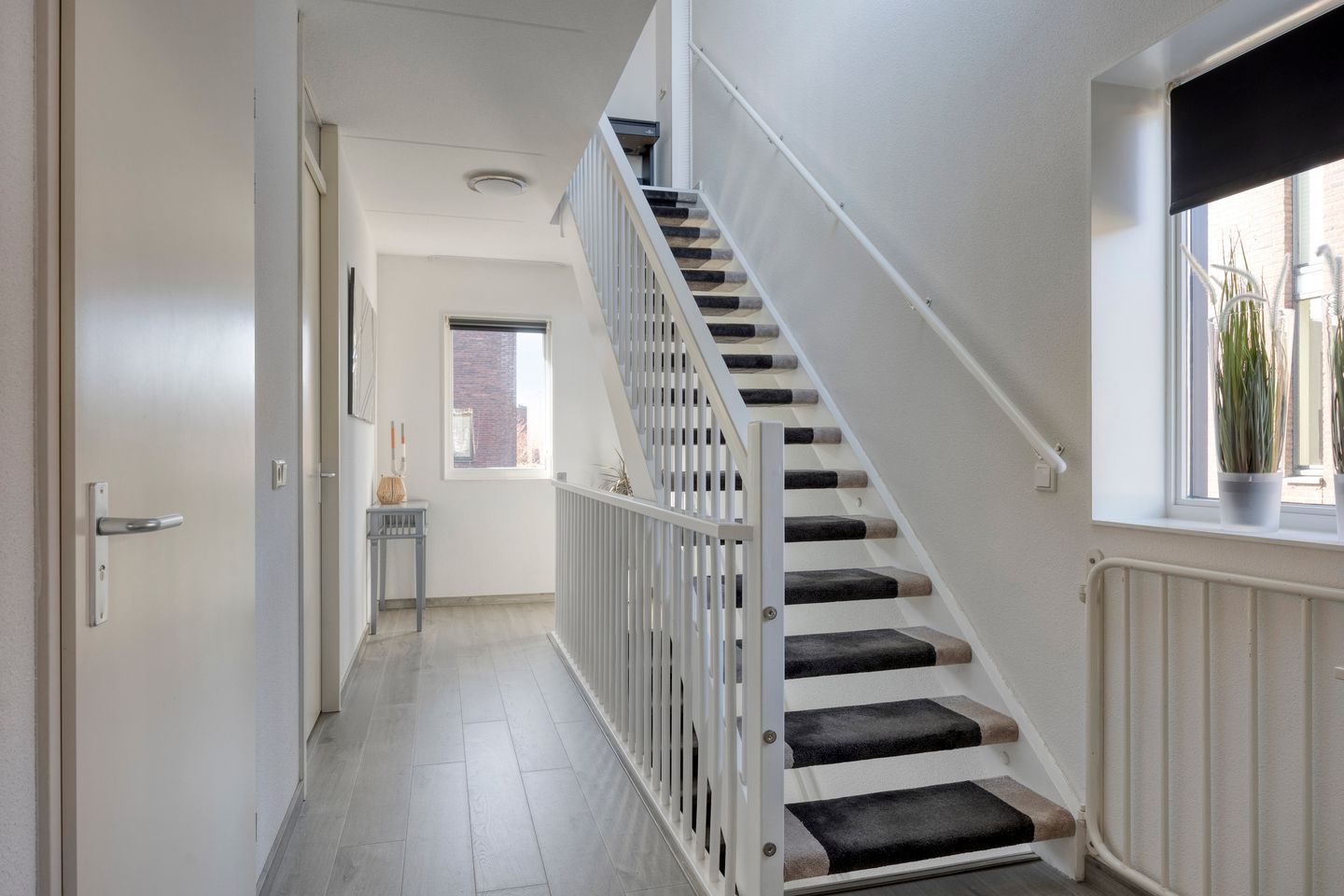 Foto 20 van Sterrenkroos 164