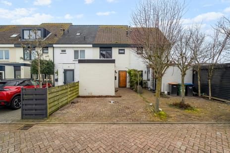 undefined main image