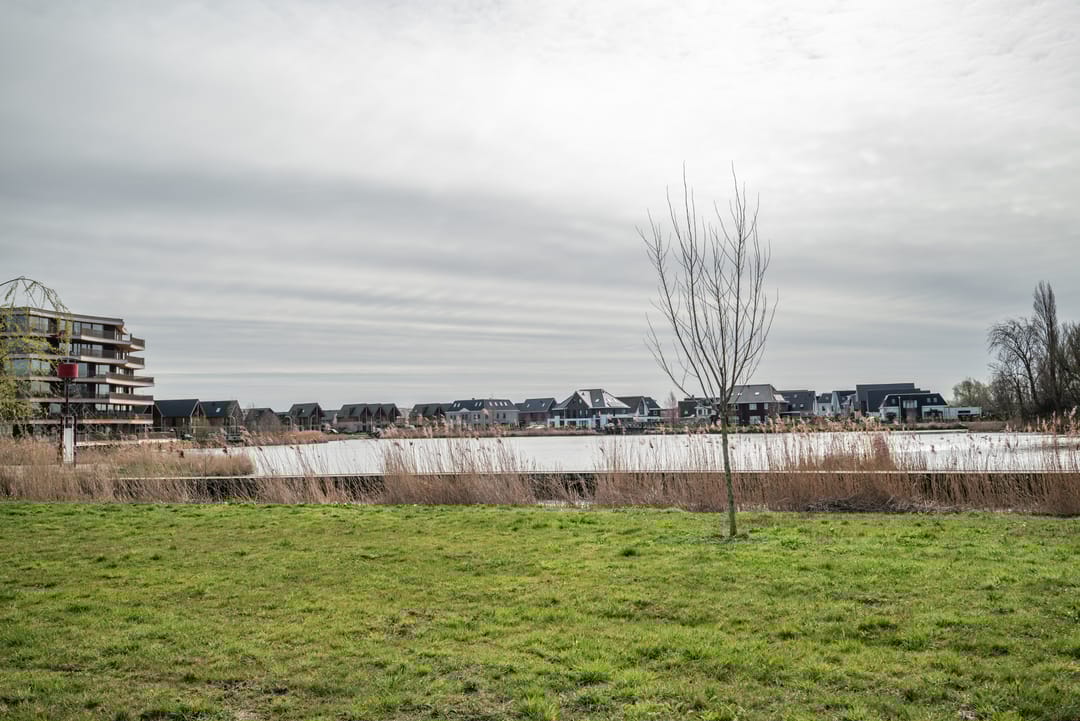 Foto 46 van Cyclaamtuin 7