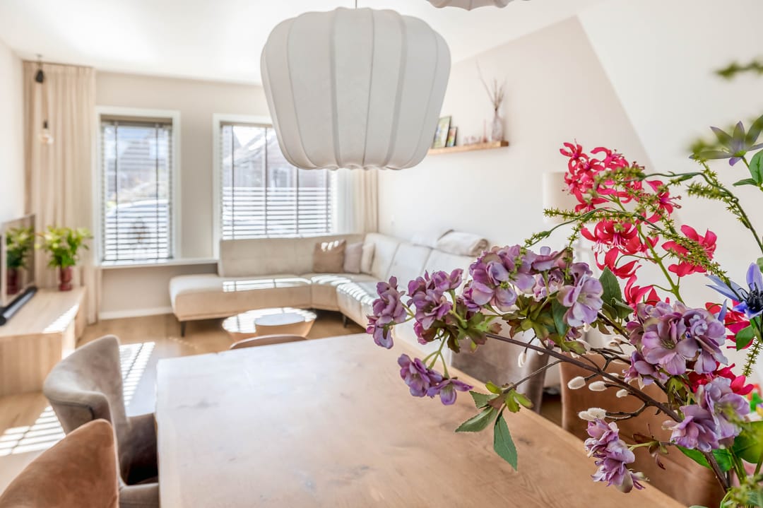 Photo 8 of Gemini 50