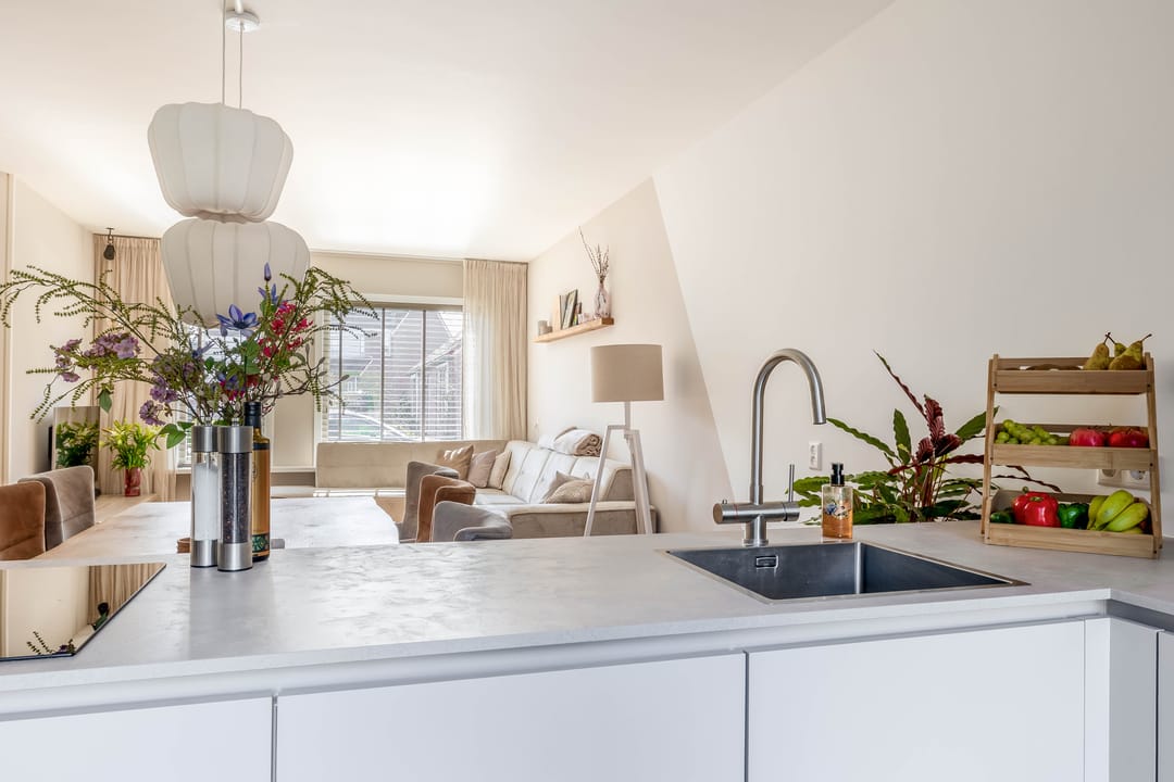 Photo 11 of Gemini 50