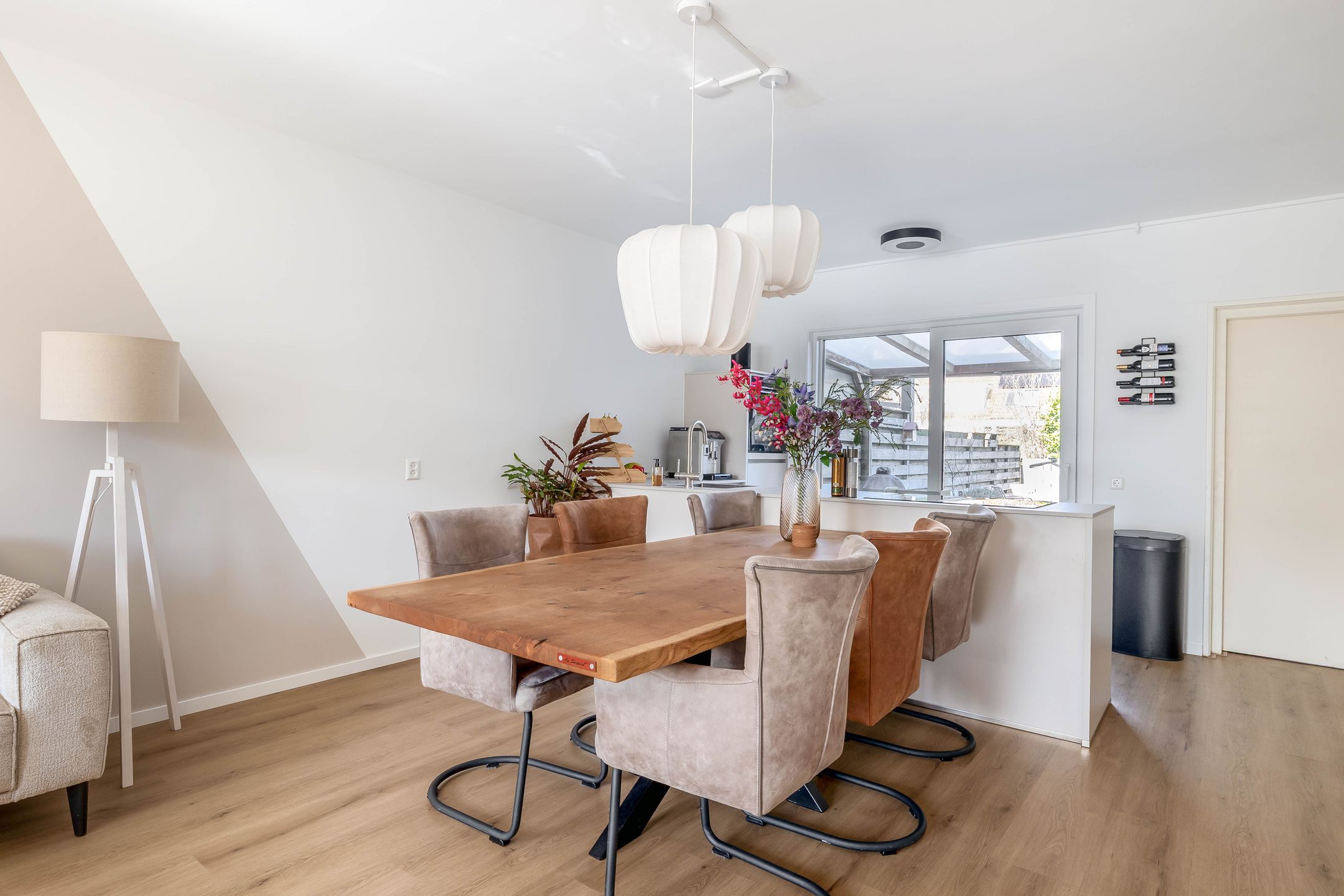 Photo 15 of Gemini 50