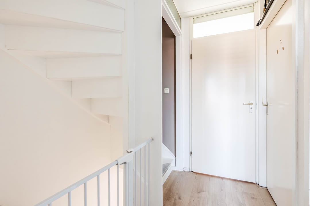 Photo 23 of Gemini 50