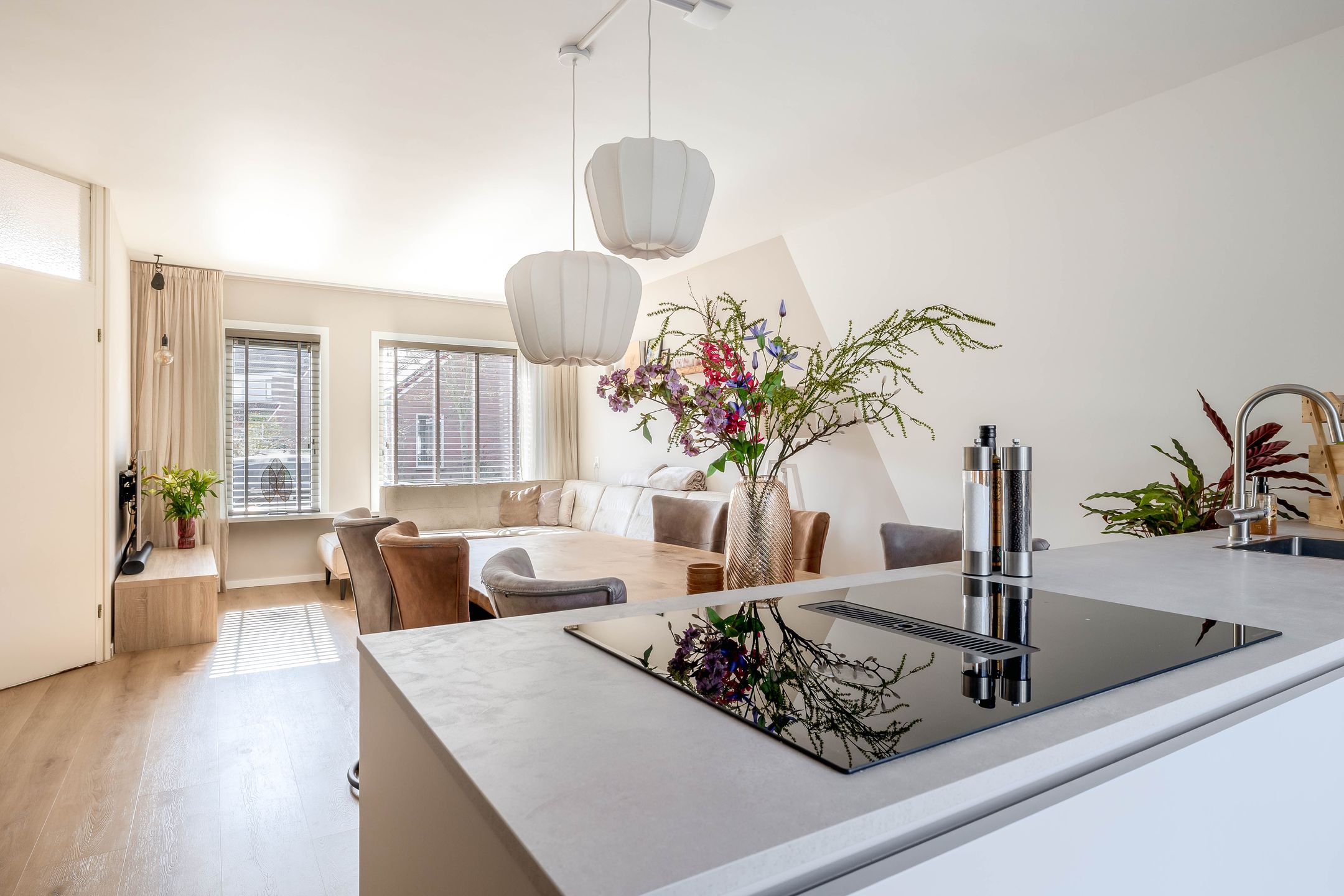 Photo 9 of Gemini 50