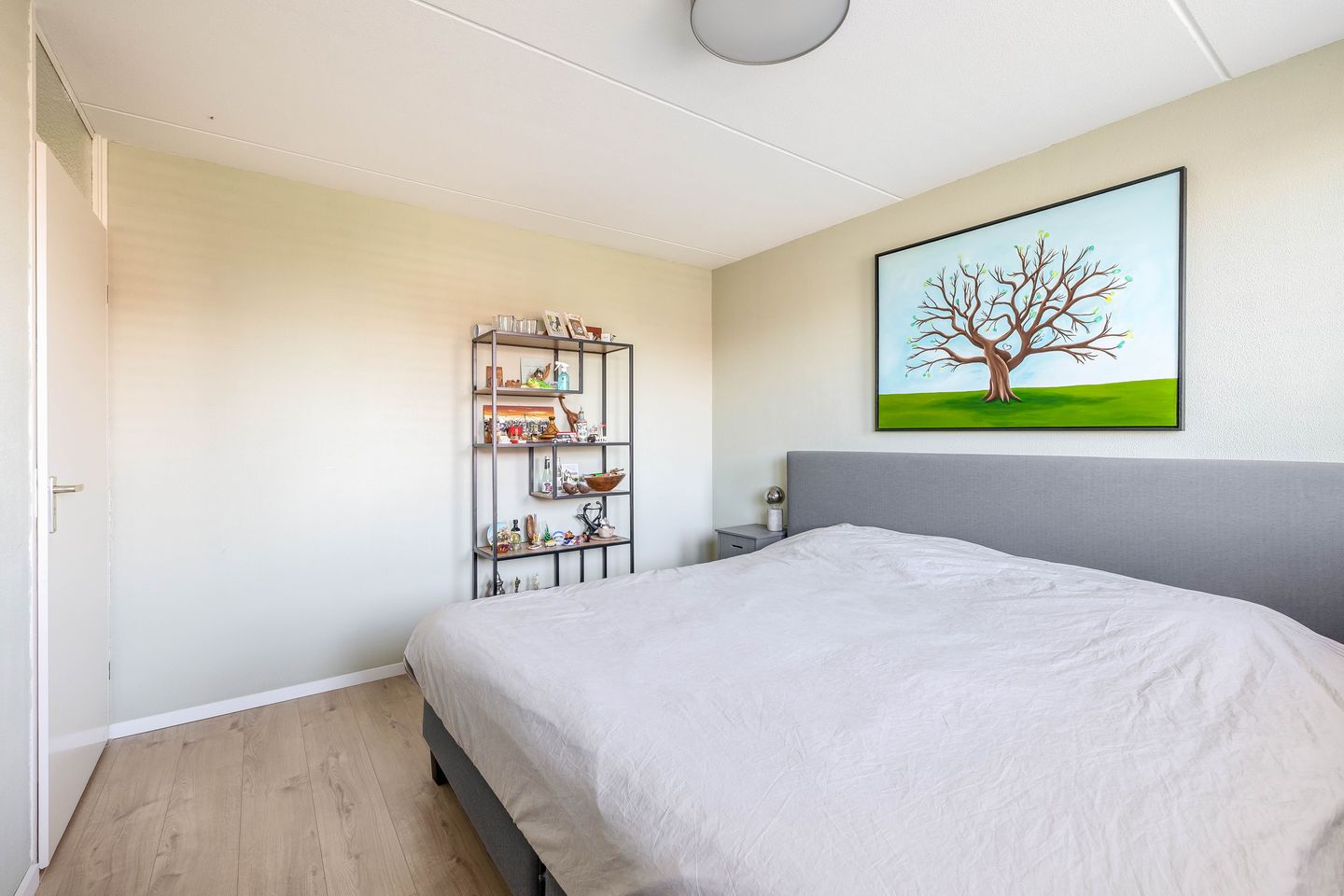 Photo 29 of Gemini 50