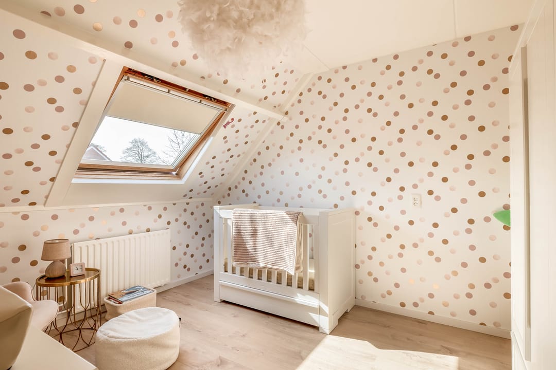 Photo 28 of Gemini 50