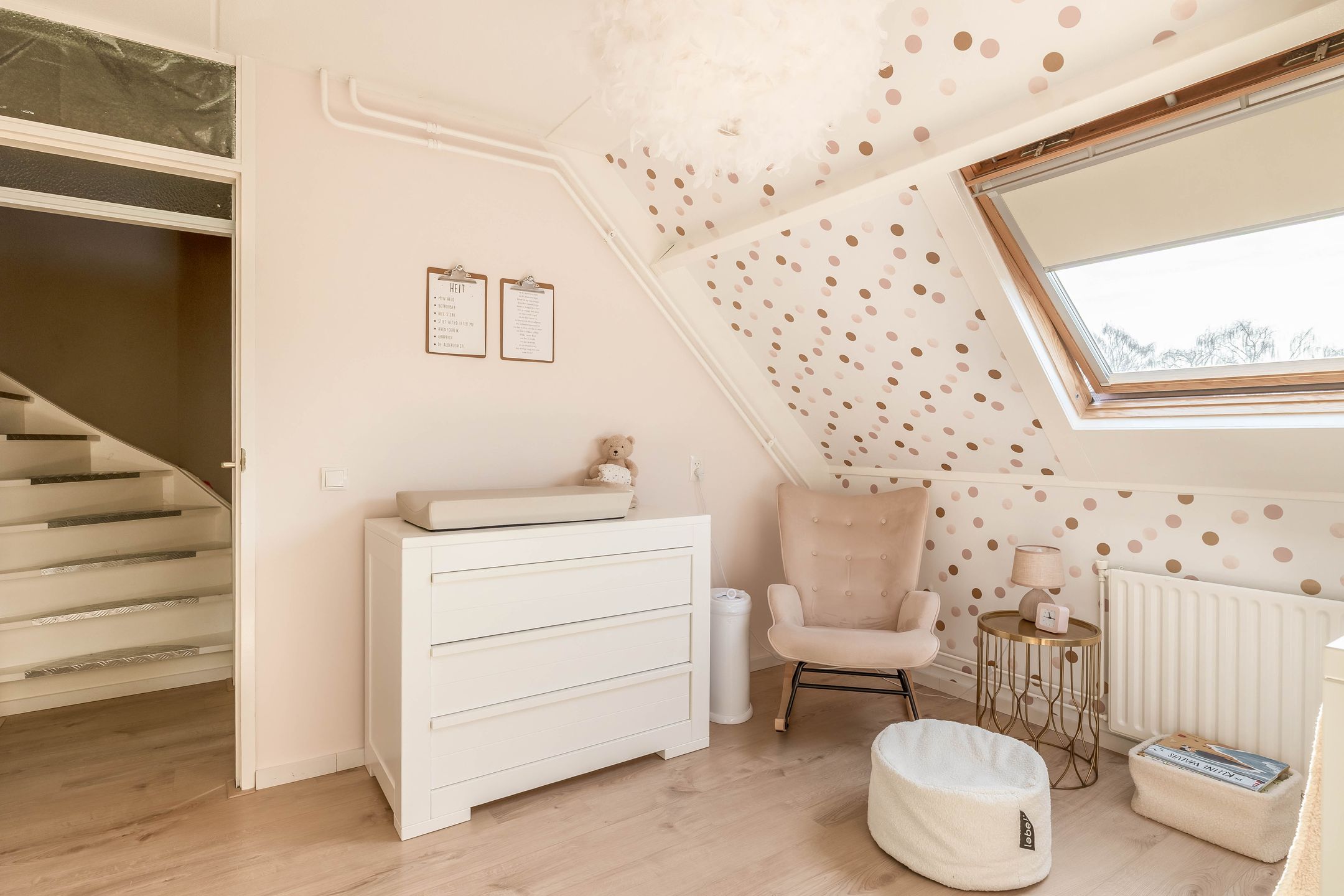 Photo 27 of Gemini 50