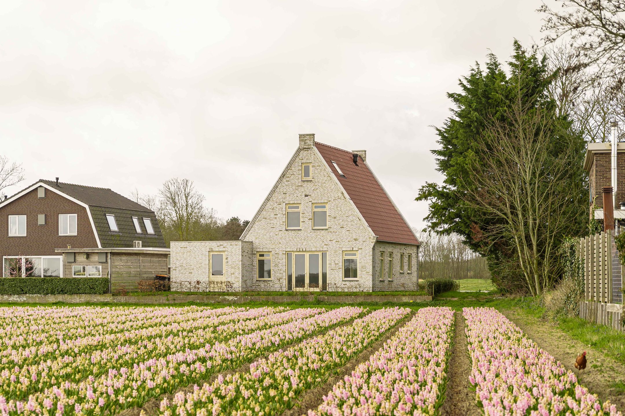 Foto 24 van Herenweg 102-B