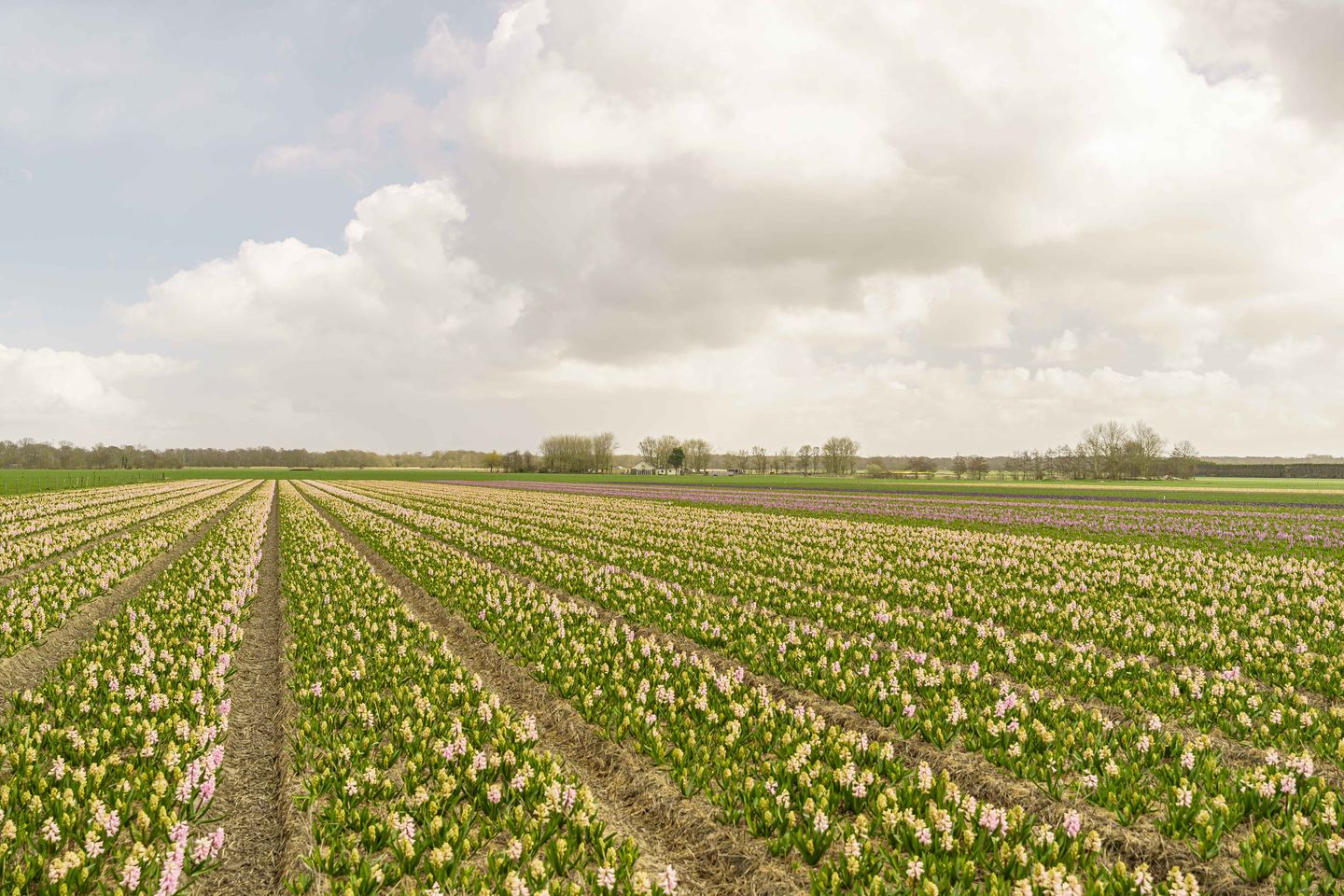 Foto 25 van Herenweg 102-B