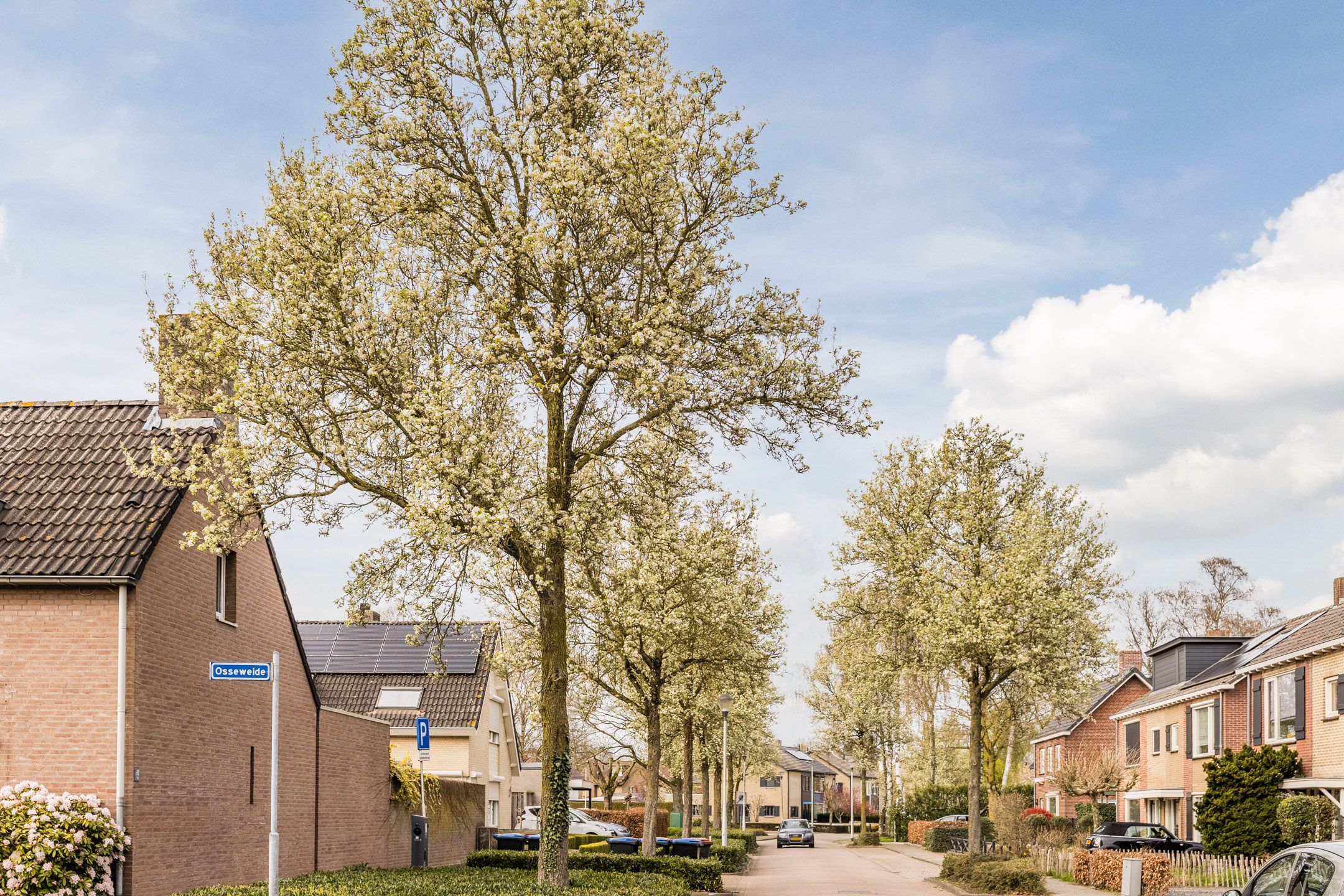 Foto 30 van Osseweide 34