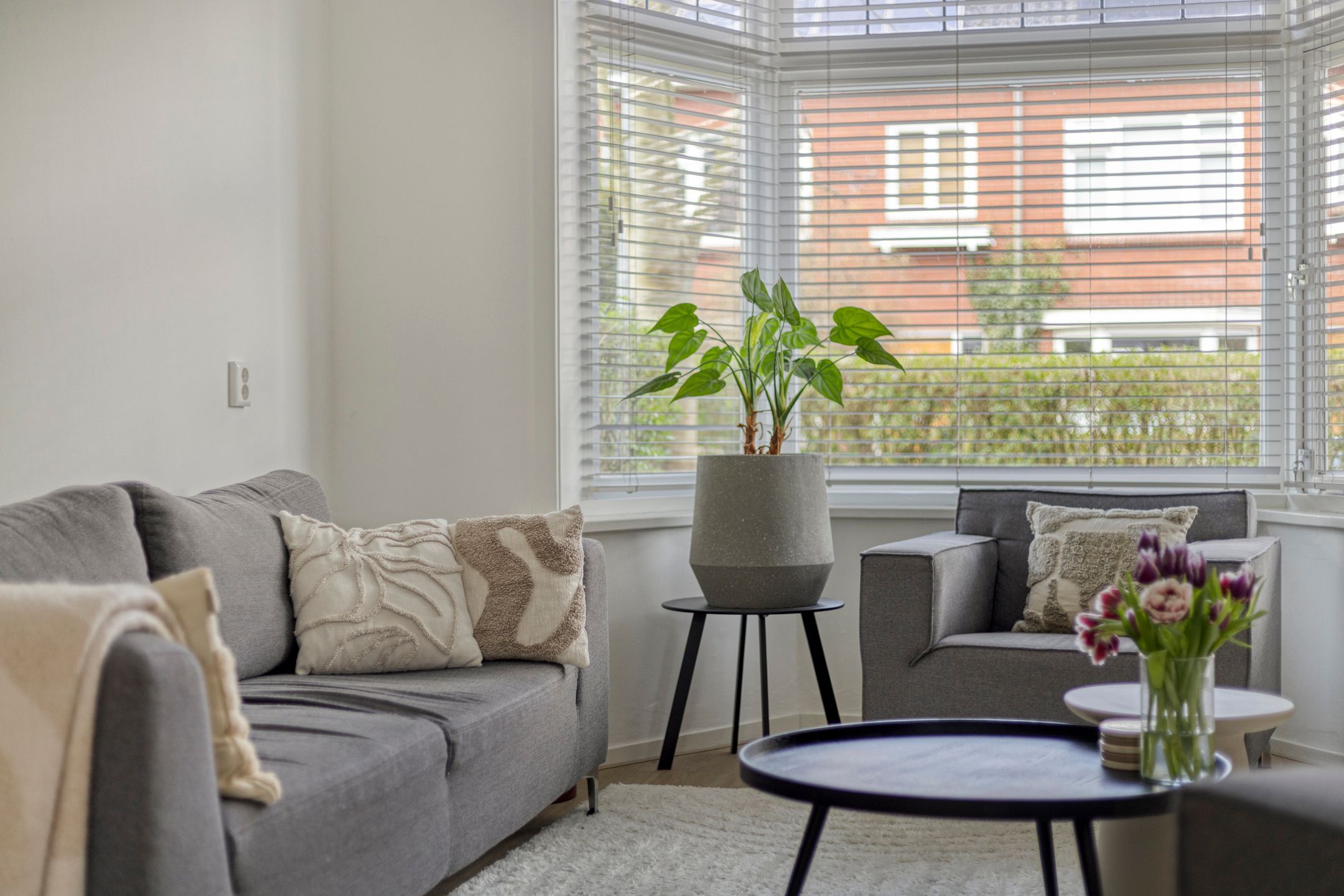 Foto 12 van Van Hamelstraat 25