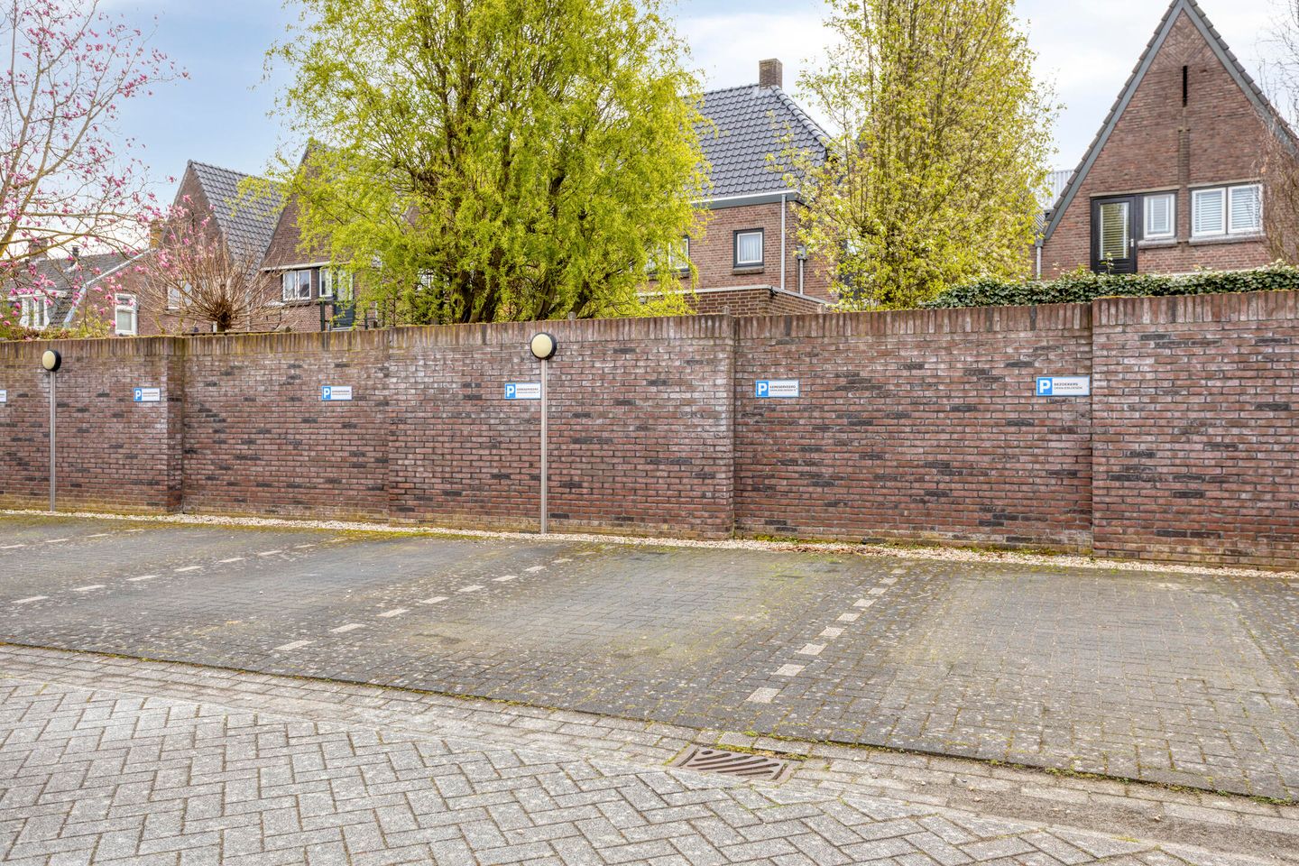 Foto 35 van Oranjebloesem 55