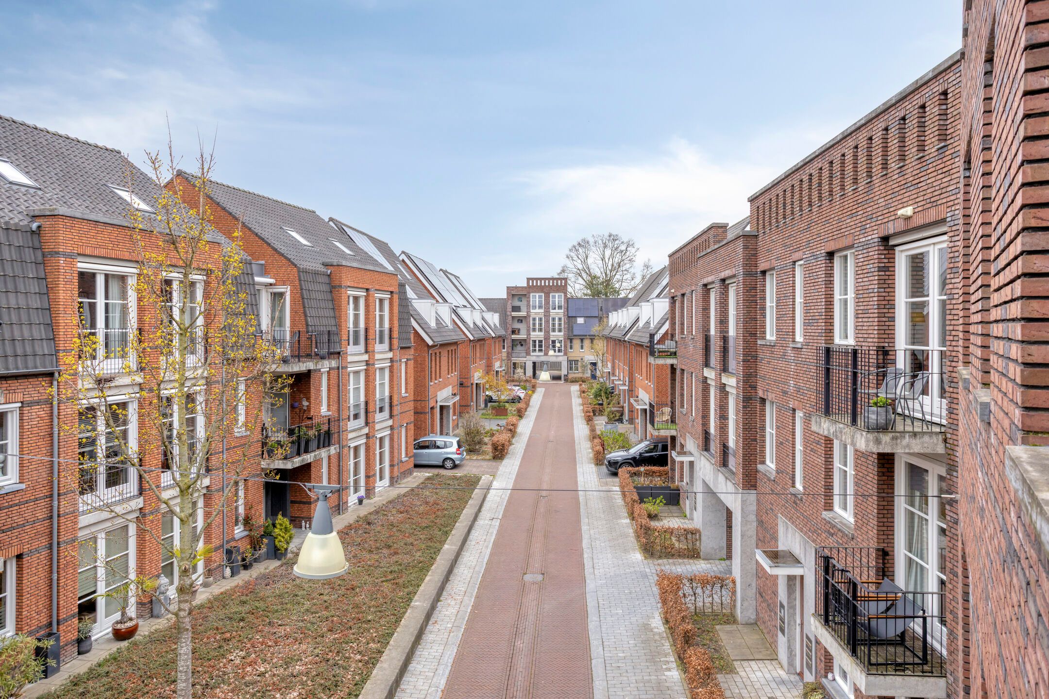 Foto 24 van Oranjebloesem 55