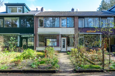 undefined main image