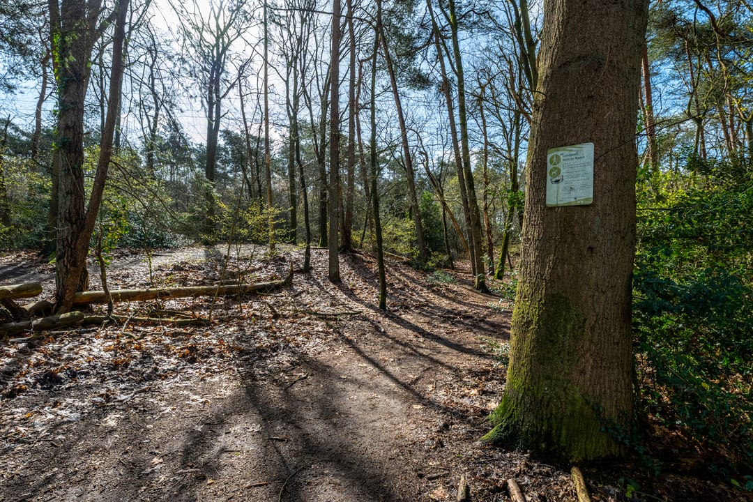 Foto 32 van Berkenlaan 25