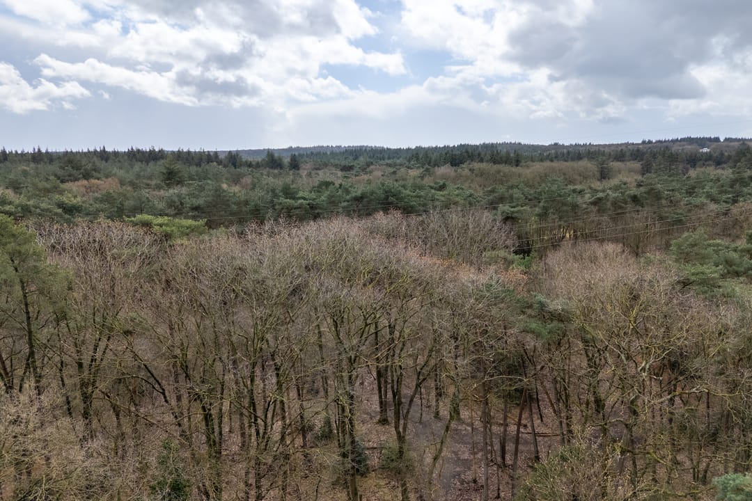 Foto 37 van Berkenlaan 25