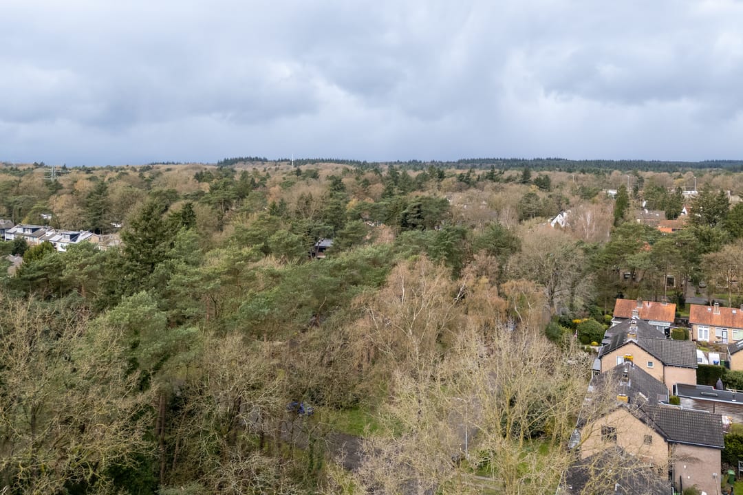 Foto 38 van Berkenlaan 25