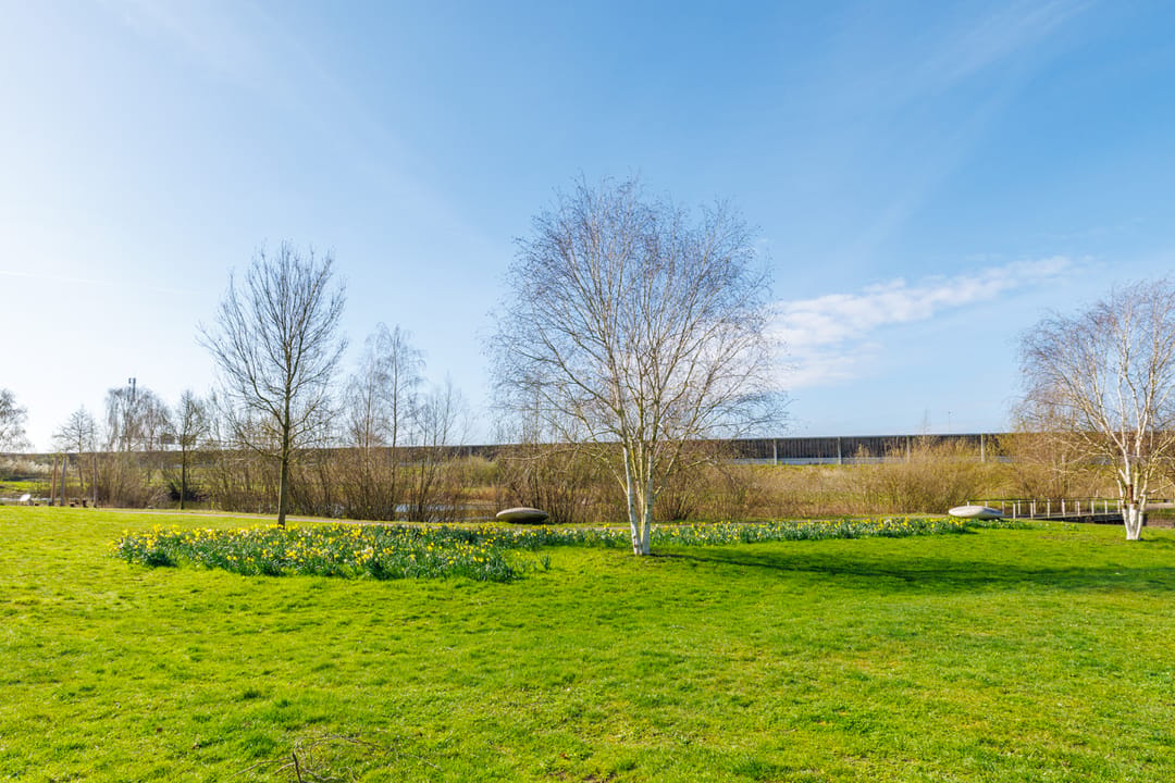Photo 52 of Waterdam 11