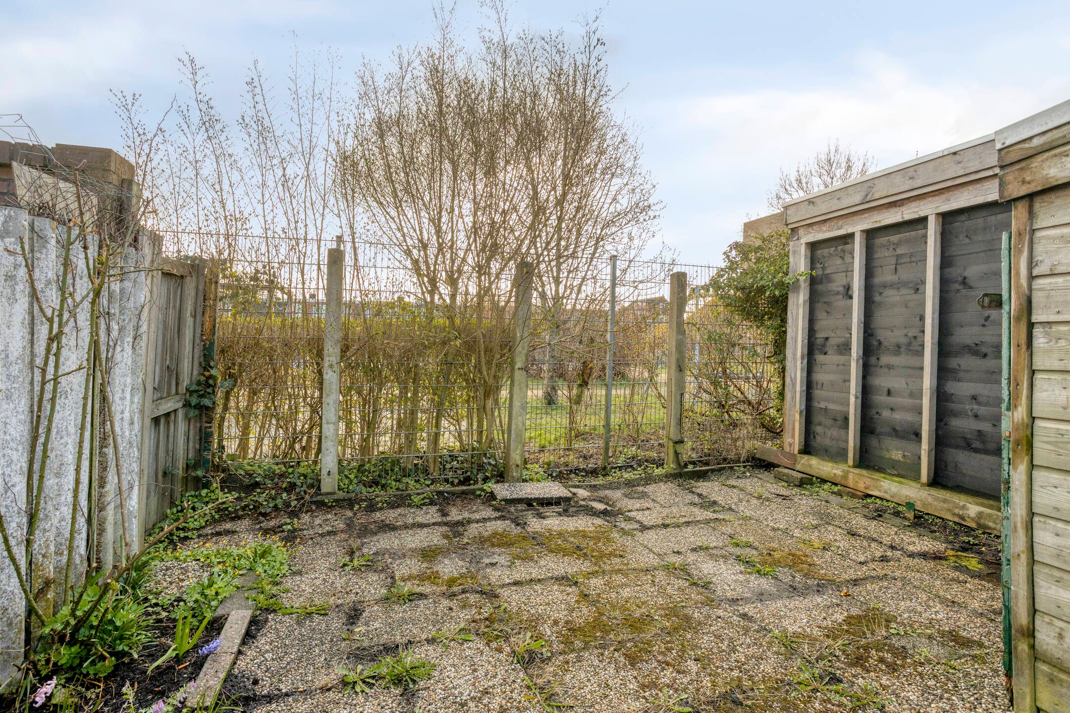 Foto 21 van Paulus Potterstraat 13