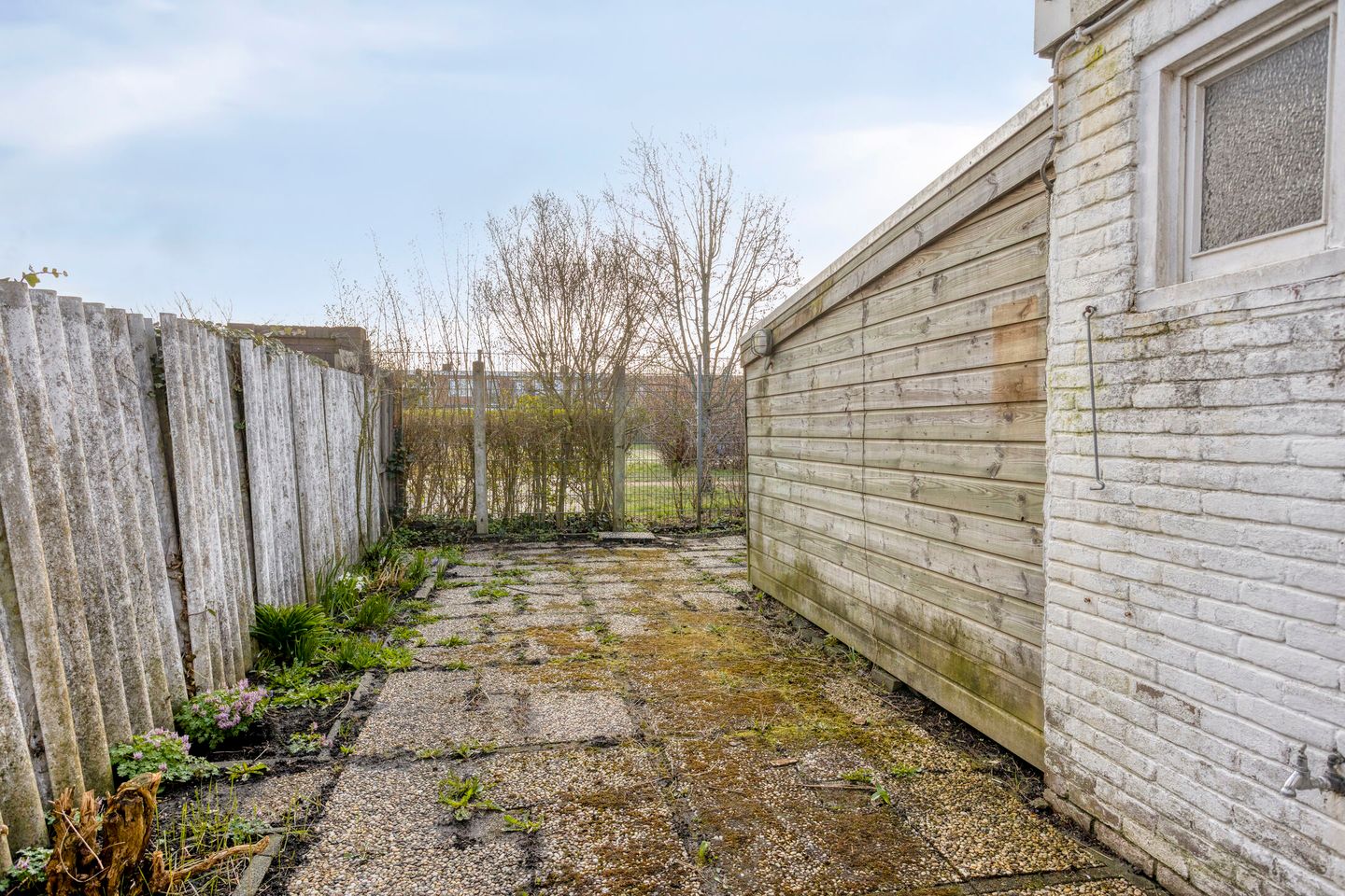 Foto 20 van Paulus Potterstraat 13