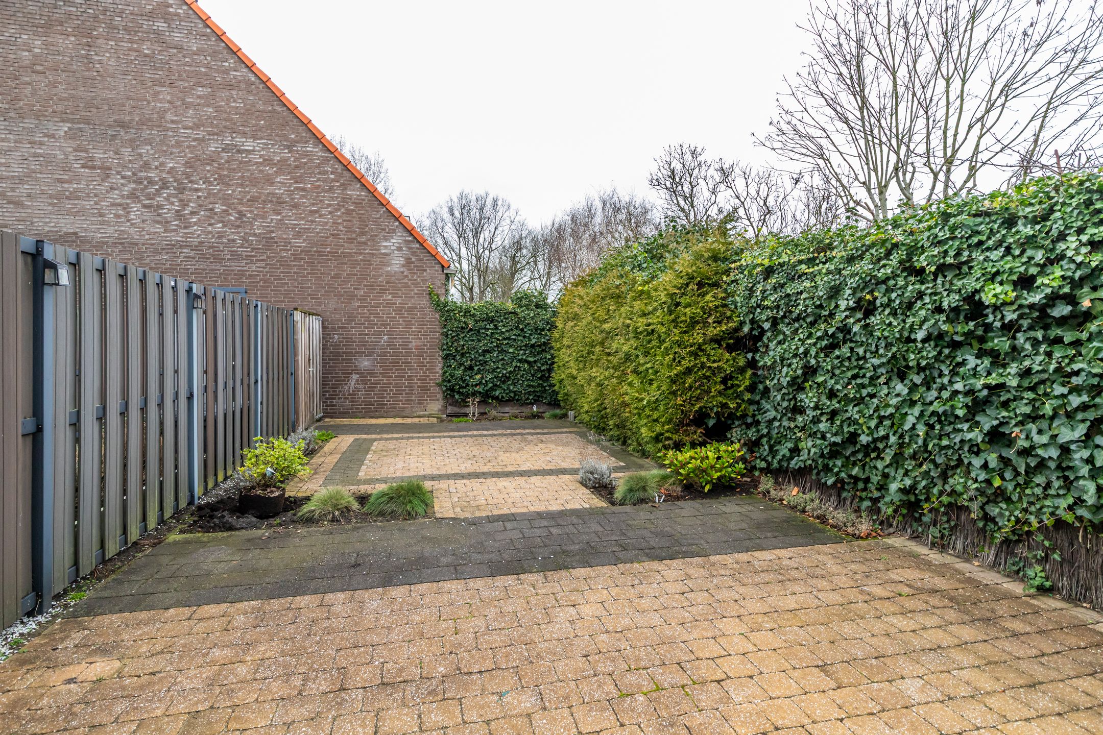 Foto 12 van Dotterbloem 25