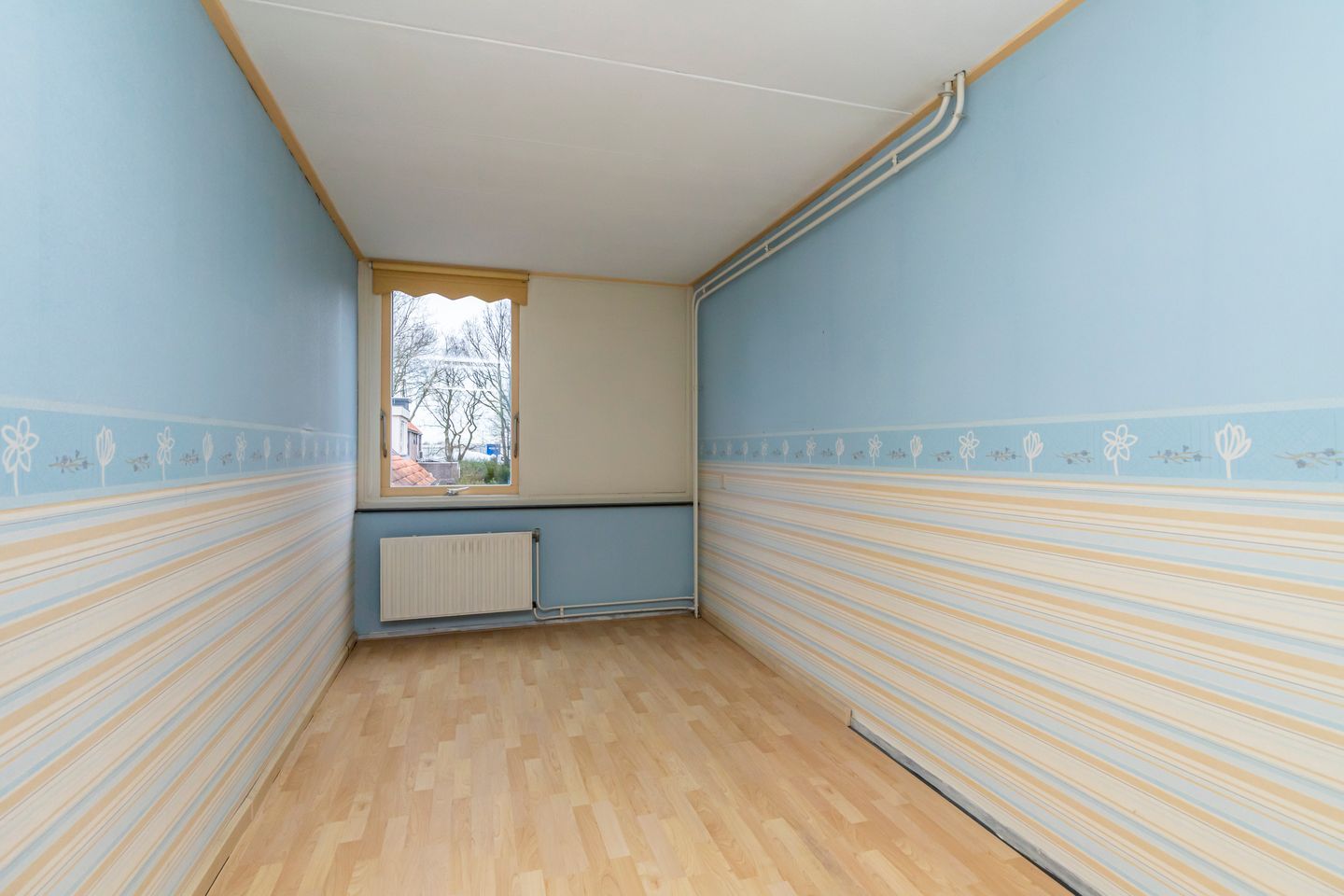 Foto 19 van Dotterbloem 25