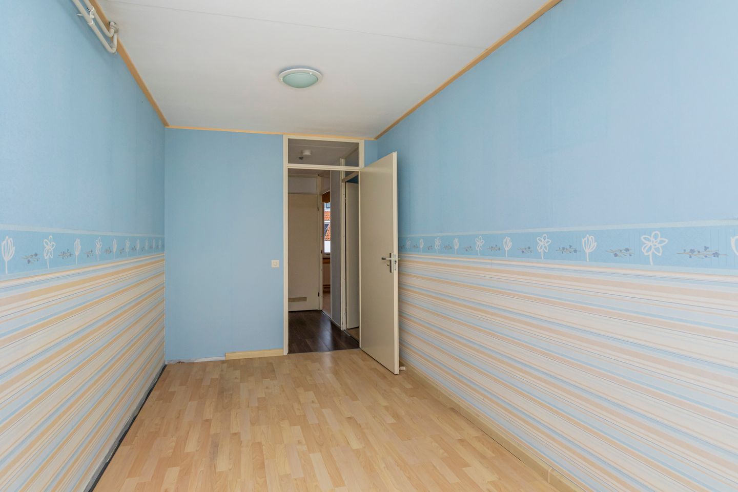 Foto 20 van Dotterbloem 25