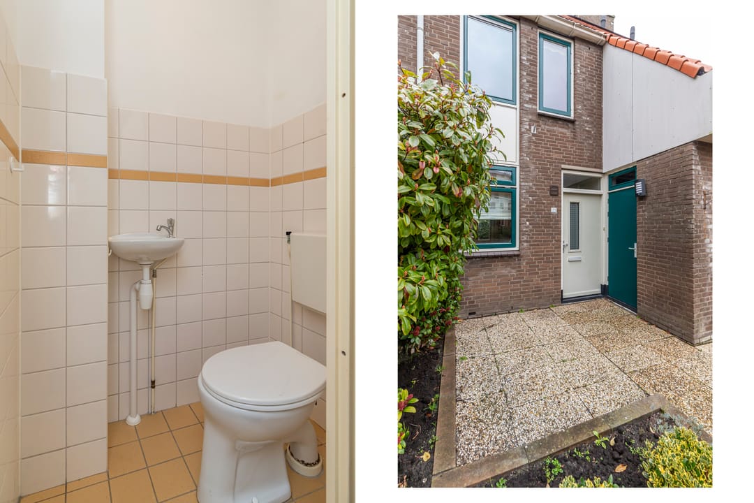 Foto 28 van Dotterbloem 25