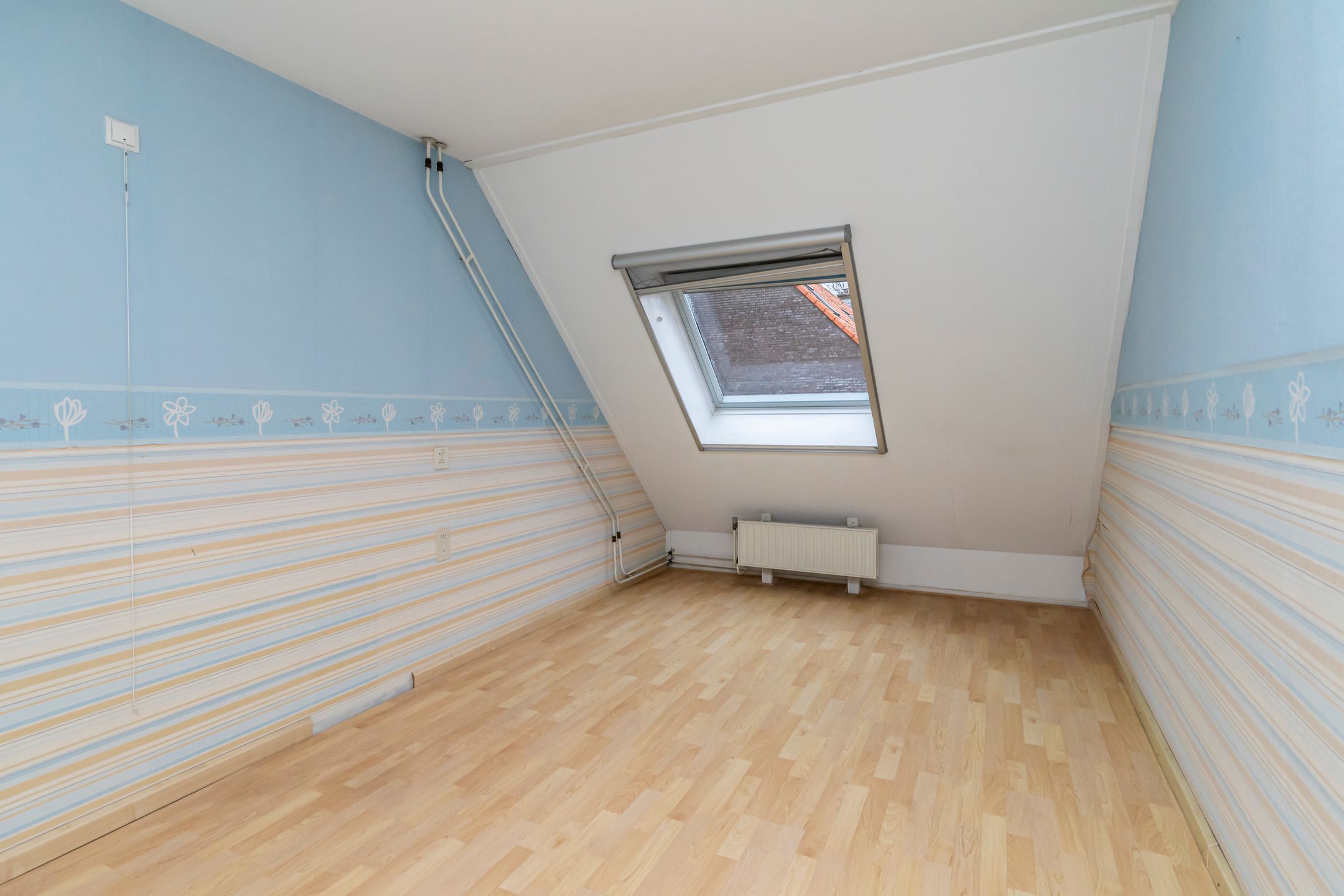 Foto 15 van Dotterbloem 25