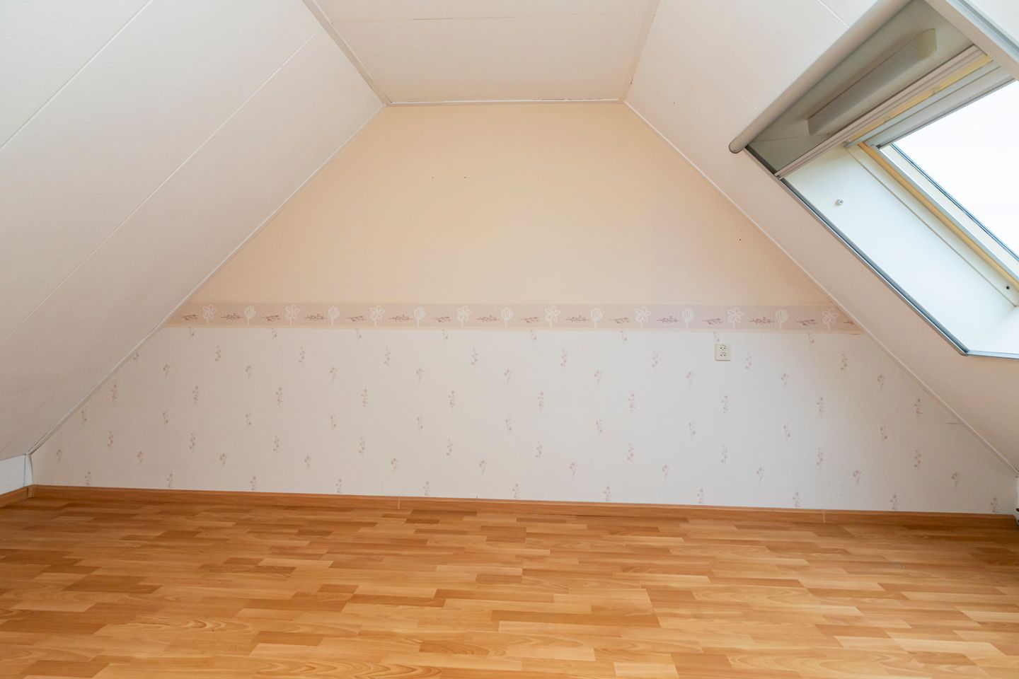 Foto 25 van Dotterbloem 25