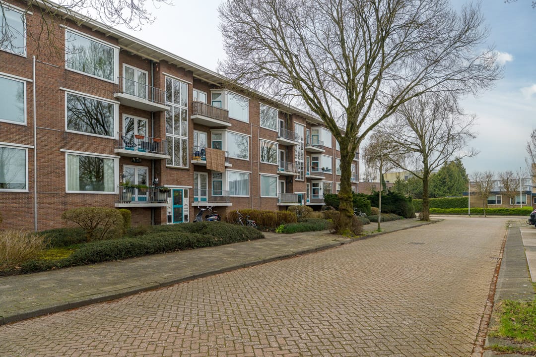 Foto 1 van Iepenstraat 8-B