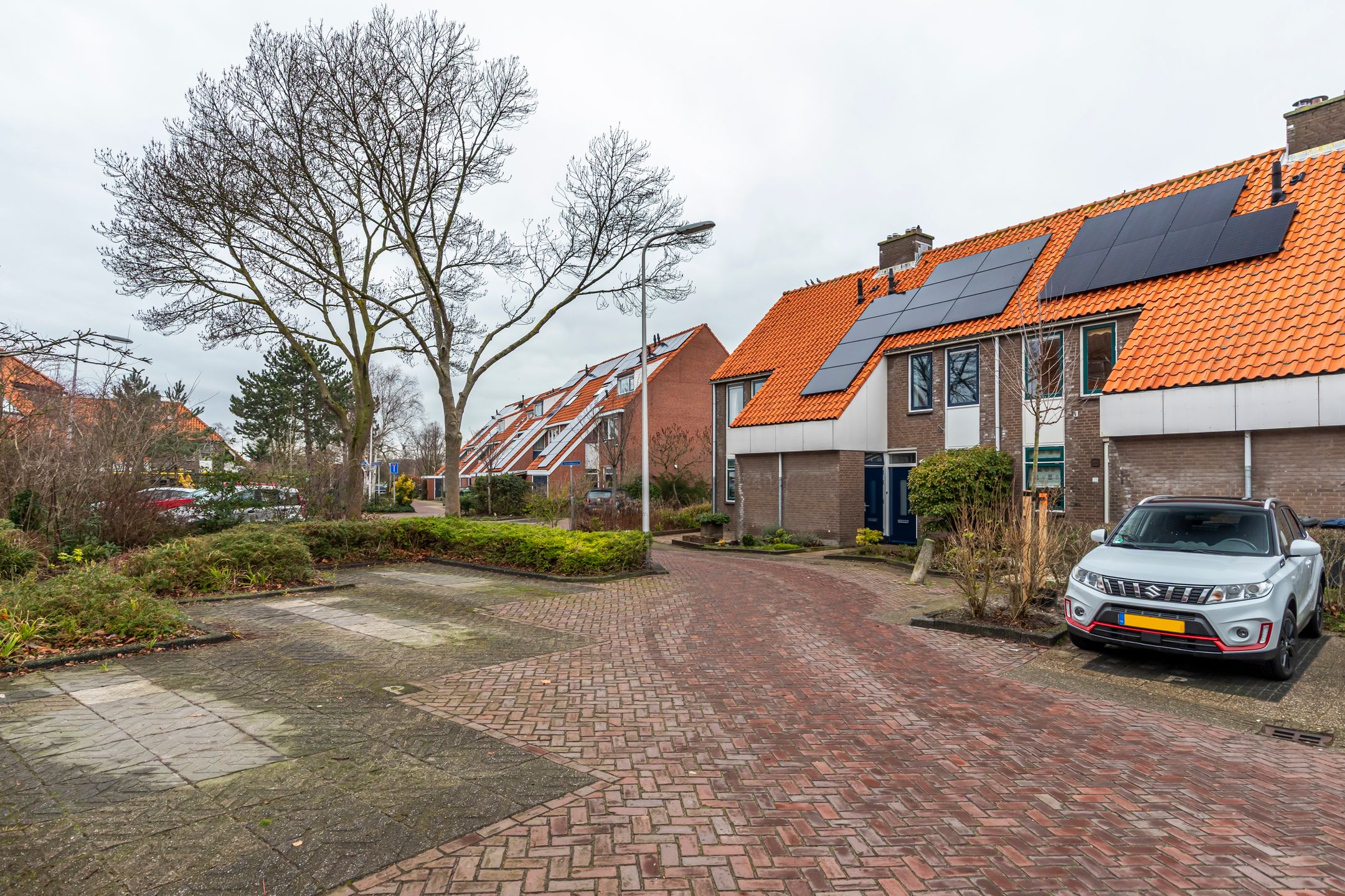 Foto 30 van Dotterbloem 25