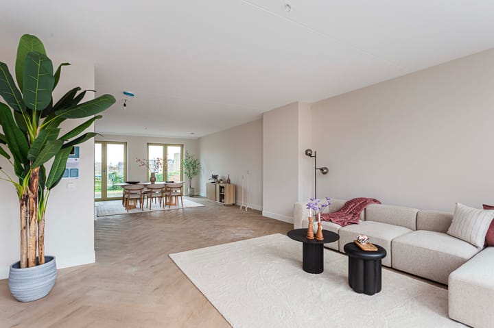 Photo 2 of Podium 649