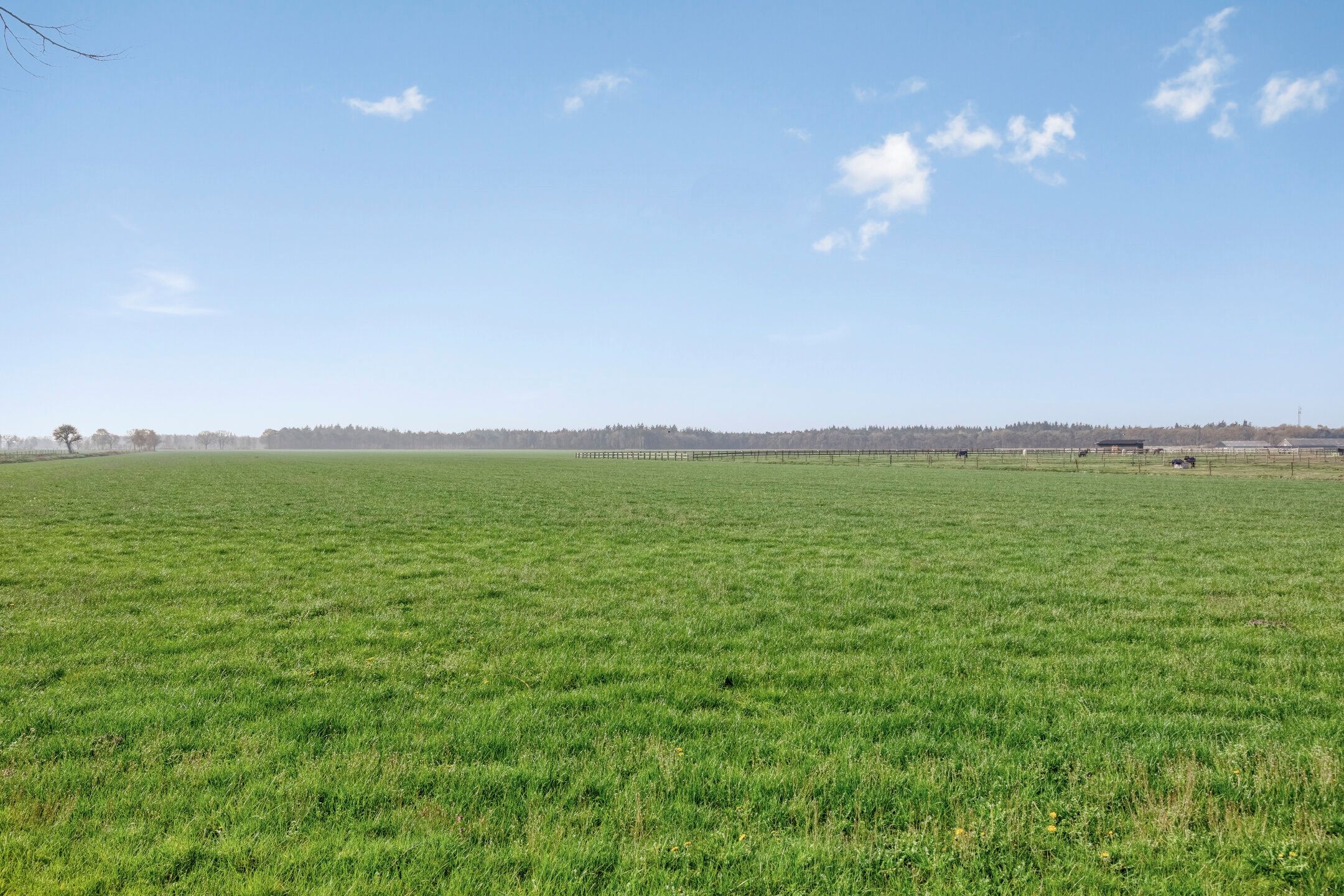 Foto 45 van Ontginningsweg 13