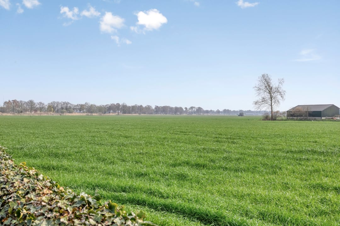 Foto 46 van Ontginningsweg 13