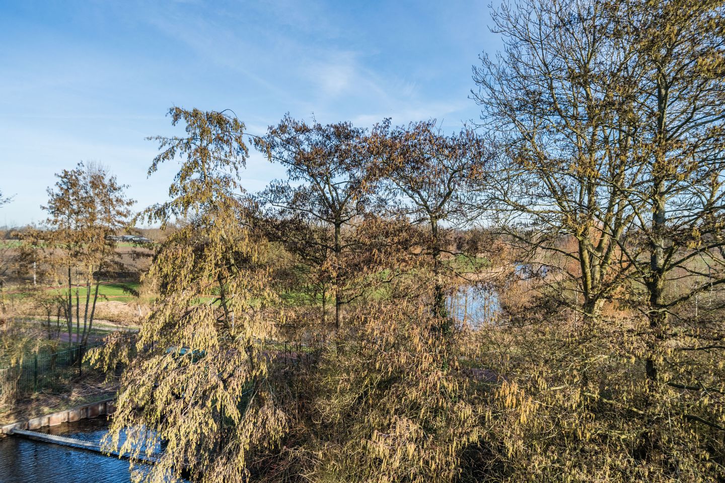 Foto 49 van Pater Schiphorststraat 35