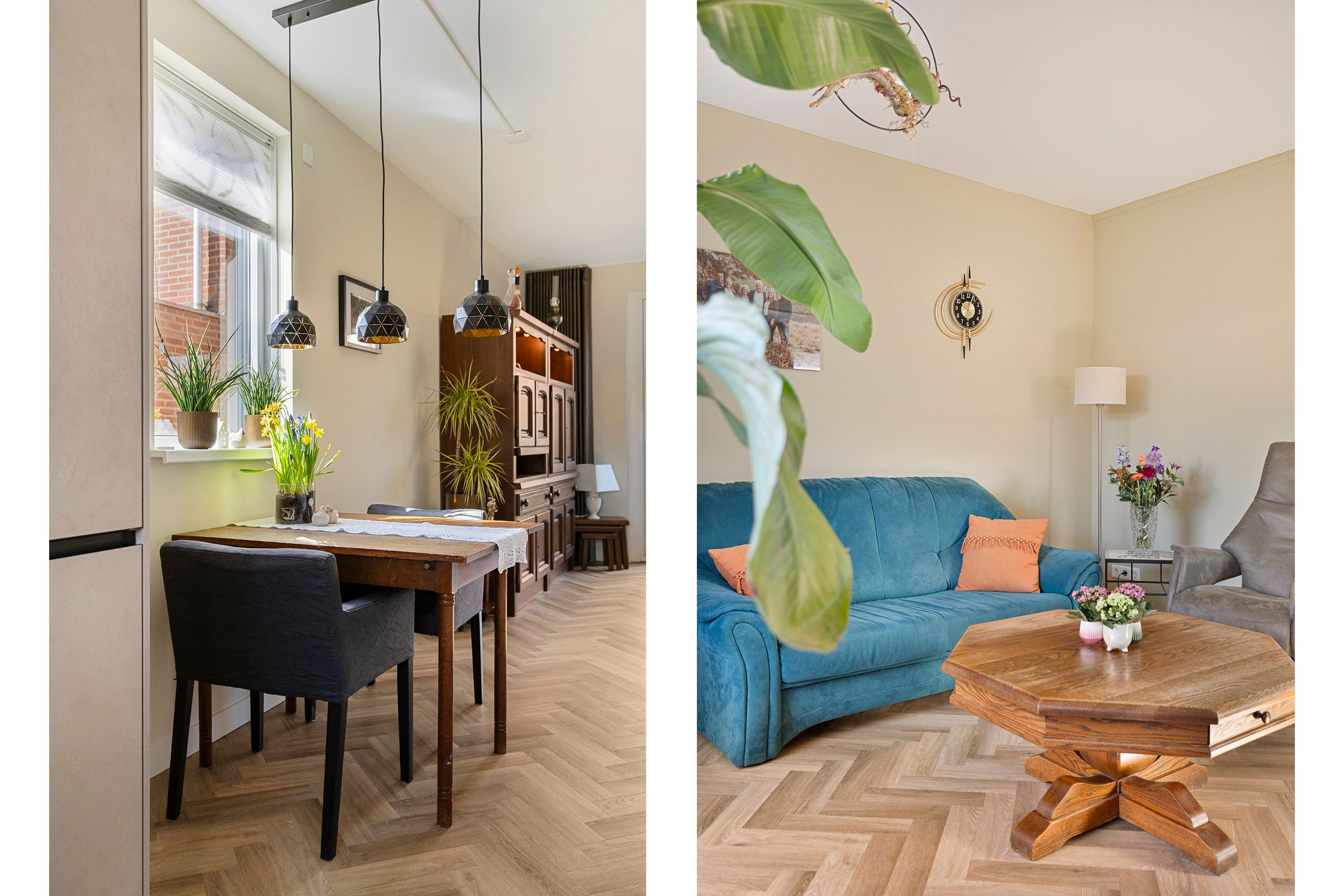 Photo 12 of de Ganzeboom 145