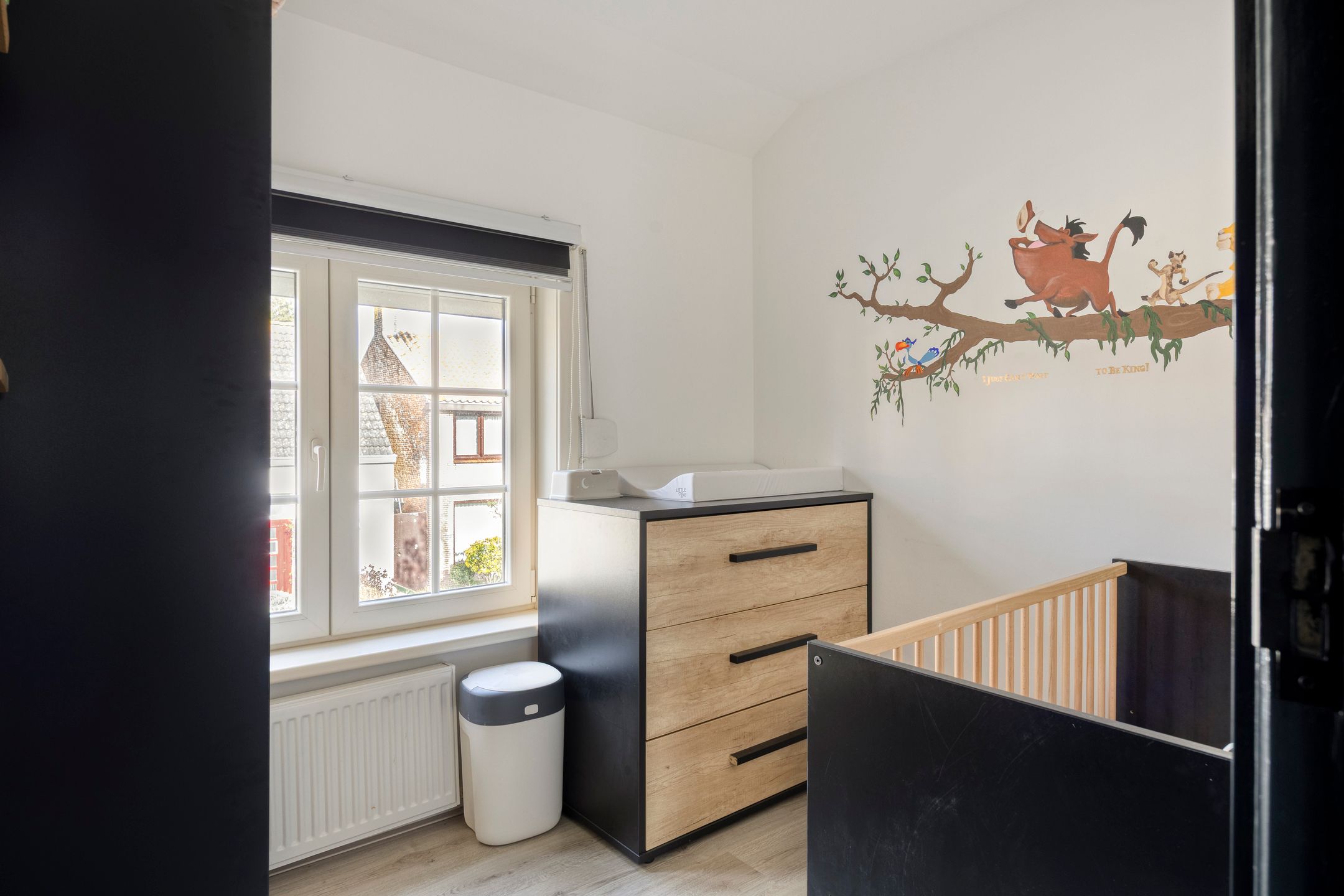 Foto 18 van Koningin Julianastraat 20