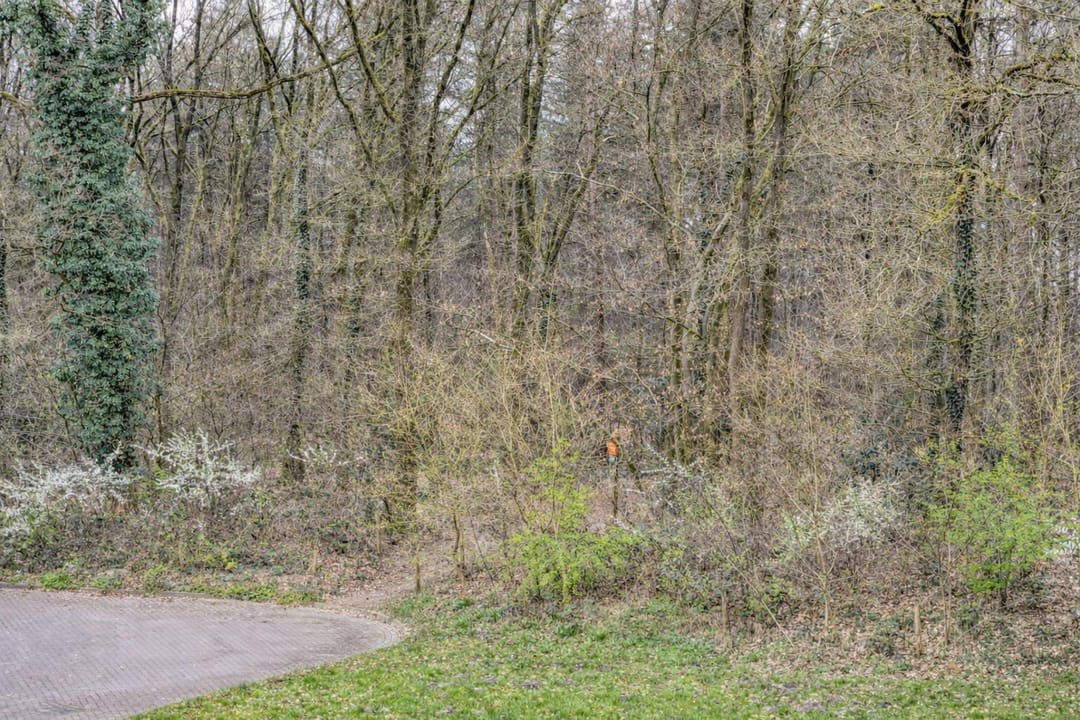 Photo 41 of Krekelstraat 23