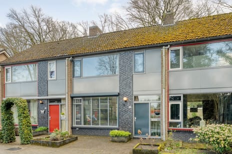 undefined main image