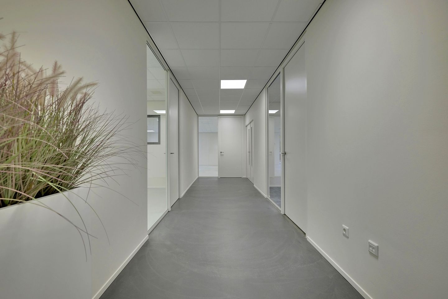 View photo 4 of Lichtenhorststraat 21